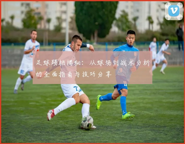 足球踢档揭秘：从球场到战术分析的全面指南与技巧分享