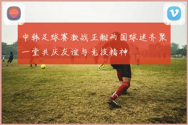 中韩足球赛激战正酣两国球迷齐聚一堂共庆友谊与竞技精神
